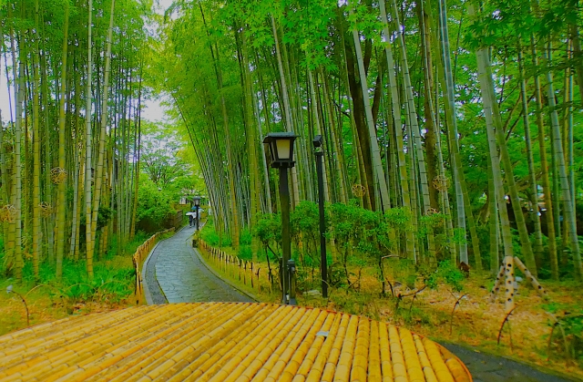 Shuzenji Onsen A Hidden Gem Hot Spring Town in Izu | Tattoo